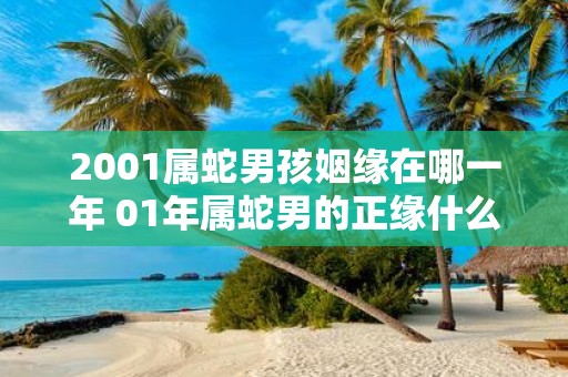 2001属蛇男孩姻缘在哪一年 01年属蛇男的正缘什么时候出现