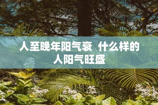 人至晚年阳气衰 什么样的人阳气旺盛