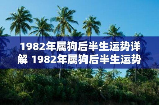 1982年属狗后半生运势详解 1982年属狗后半生运势如何