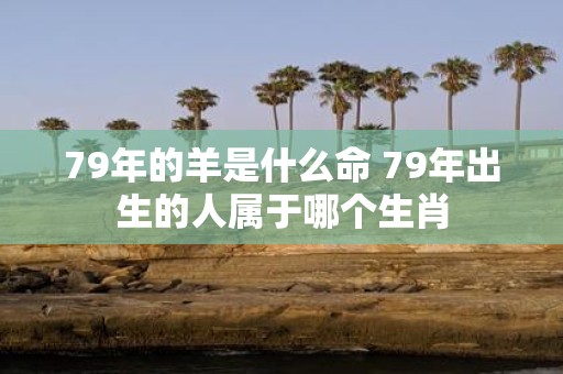 79年的羊是什么命 79年出生的人属于哪个生肖