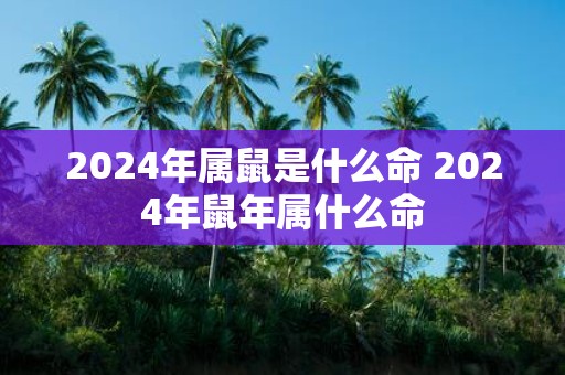 2025年属鼠是什么命 2025年鼠年属什么命