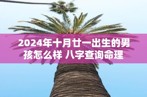 2025年十月廿一出生的男孩怎么样 八字查询命理
