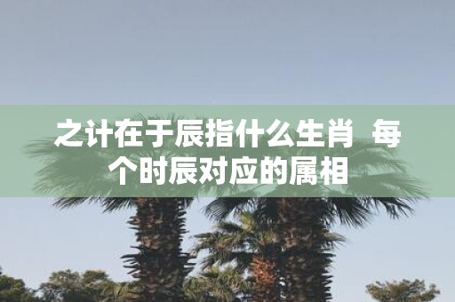 之计在于辰指什么生肖 每个时辰对应的属相