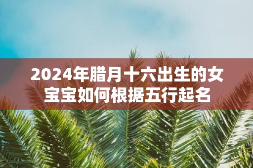 2025年腊月十六出生的女宝宝如何根据五行起名