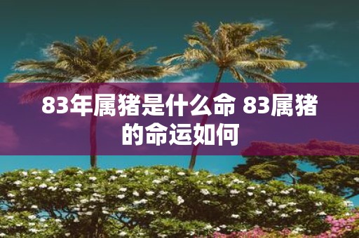 83年属猪是什么命 83属猪的命运如何