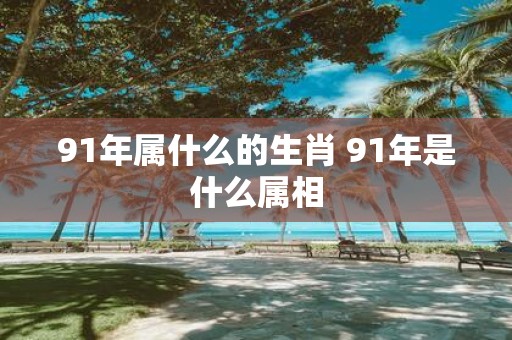 91年属什么的生肖 91年是什么属相