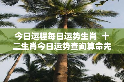 今日运程每日运势生肖 十二生肖今日运势查询算命先生