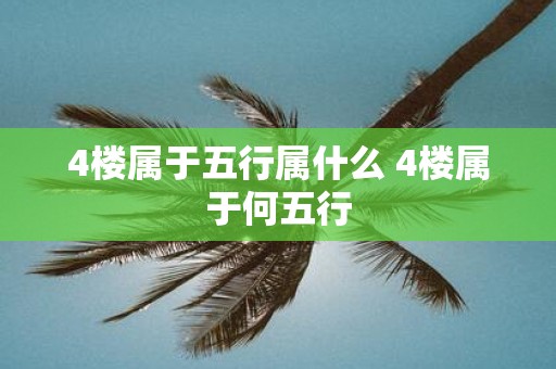 4楼属于五行属什么 4楼属于何五行