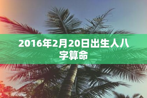 2016年2月20日出生人八字算命