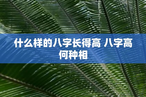 什么样的八字长得高 八字高何种相