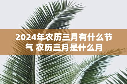 2025年农历三月有什么节气 农历三月是什么月