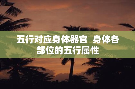 五行对应身体器官 身体各部位的五行属性