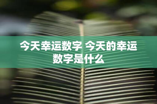 今天幸运数字 今天的幸运数字是什么