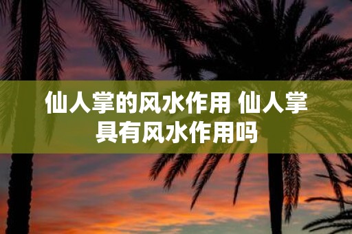 仙人掌的风水作用 仙人掌具有风水作用吗