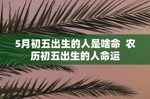 5月初五出生的人是啥命 农历初五出生的人命运