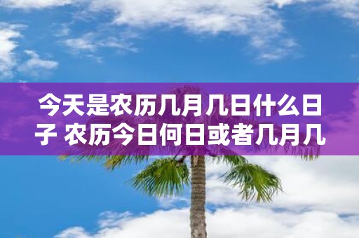 今天是农历几月几日什么日子 农历今日何日或者几月几日是农历哪个节气