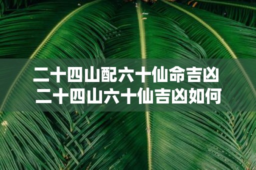 二十四山配六十仙命吉凶 二十四山六十仙吉凶如何