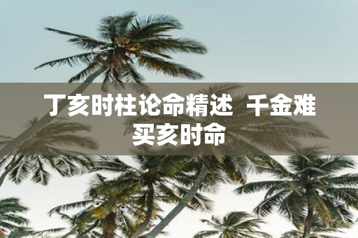 丁亥时柱论命精述 千金难买亥时命