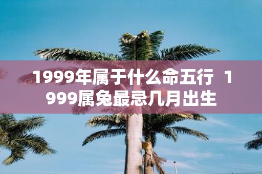 1999年属于什么命五行 1999属兔最忌几月出生
