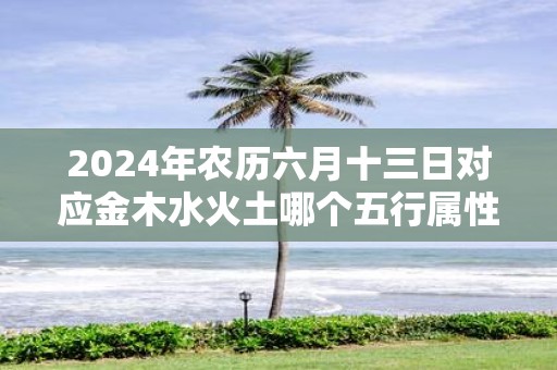 2025年农历六月十三日对应金木水火土哪个五行属性
