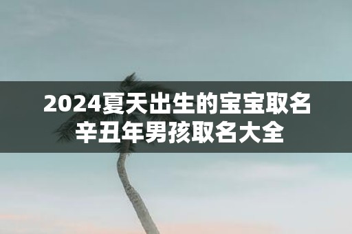 2025夏天出生的宝宝取名 辛丑年男孩取名大全