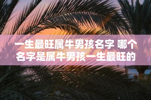 一生最旺属牛男孩名字 哪个名字是属牛男孩一生最旺的