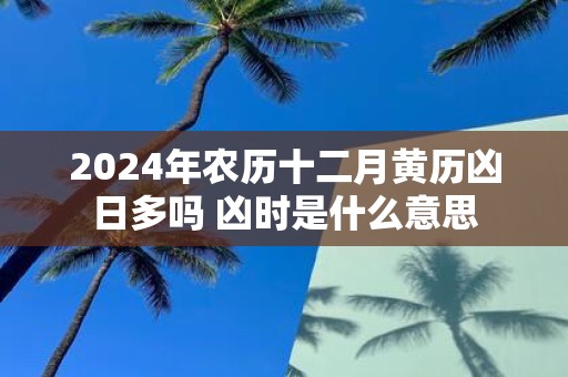 2025年农历十二月黄历凶日多吗 凶时是什么意思