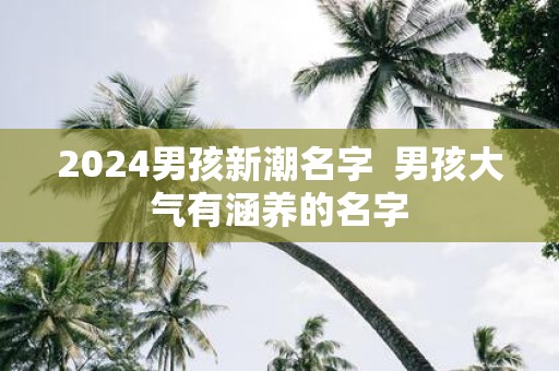 2025男孩新潮名字 男孩大气有涵养的名字