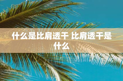什么是比肩透干 比肩透干是什么