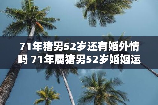 71年猪男52岁还有婚外情吗 71年属猪男52岁婚姻运势如何