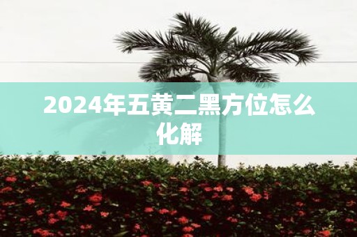 2025年五黄二黑方位怎么化解