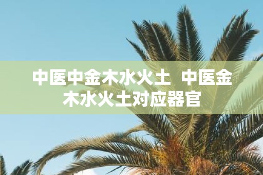 中医中金木水火土 中医金木水火土对应器官