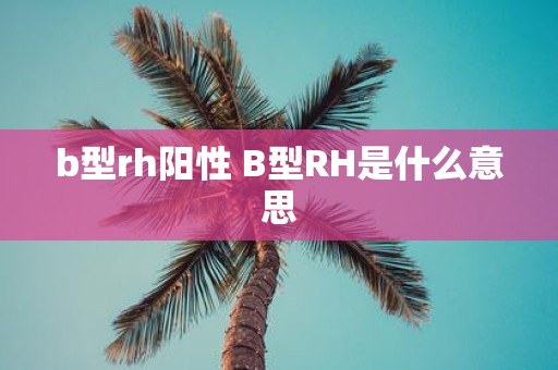 b型rh阳性 B型RH是什么意思