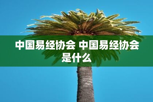 中国易经协会 中国易经协会是什么