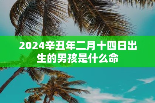 2025辛丑年二月十四日出生的男孩是什么命