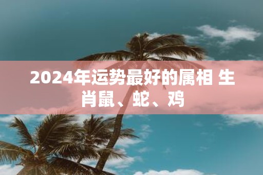 2025年运势最好的属相 生肖鼠、蛇、鸡