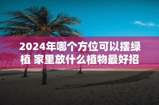 2025年哪个方位可以摆绿植 家里放什么植物最好招财又好养