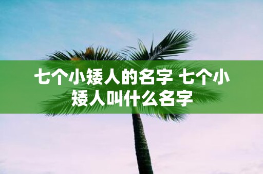 七个小矮人的名字 七个小矮人叫什么名字