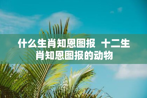 什么生肖知恩图报 十二生肖知恩图报的动物
