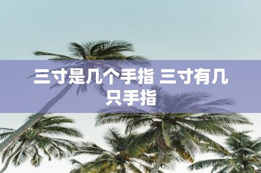 三寸是几个手指 三寸有几只手指