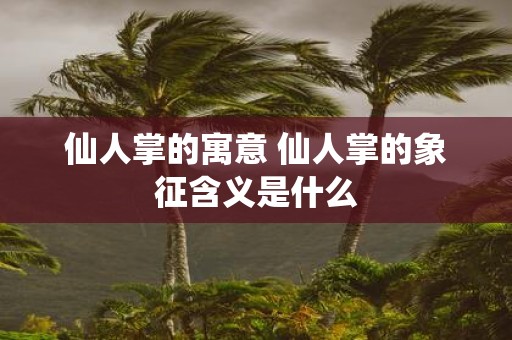 仙人掌的寓意 仙人掌的象征含义是什么