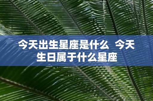 今天出生星座是什么 今天生日属于什么星座