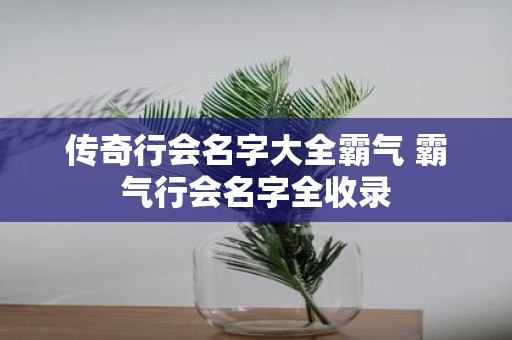 传奇行会名字大全霸气 霸气行会名字全收录