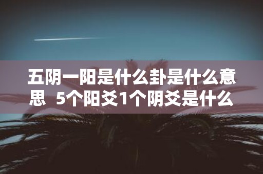 五阴一阳是什么卦是什么意思 5个阳爻1个阴爻是什么卦