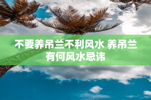 不要养吊兰不利风水 养吊兰有何风水忌讳