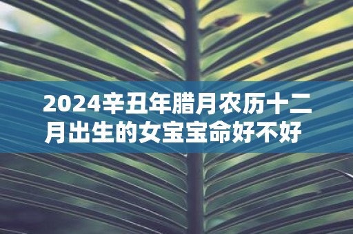 2025辛丑年腊月农历十二月出生的女宝宝命好不好 命运解析