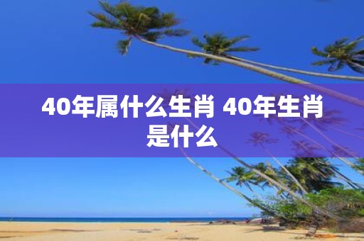 40年属什么生肖 40年生肖是什么