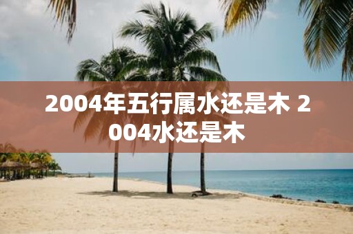 2004年五行属水还是木 2004水还是木