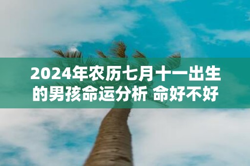 2025年农历七月十一出生的男孩命运分析 命好不好