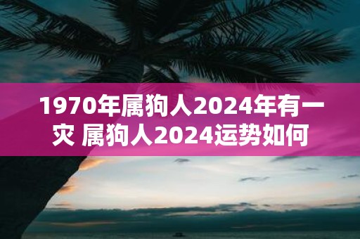 1970年属狗人2025年有一灾 属狗人2025运势如何